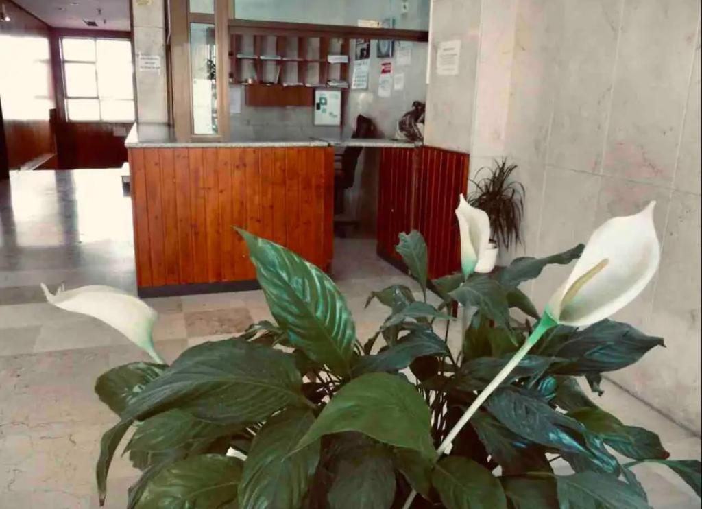 La Posada Del Viajero Leilighet Torremolinos Eksteriør bilde